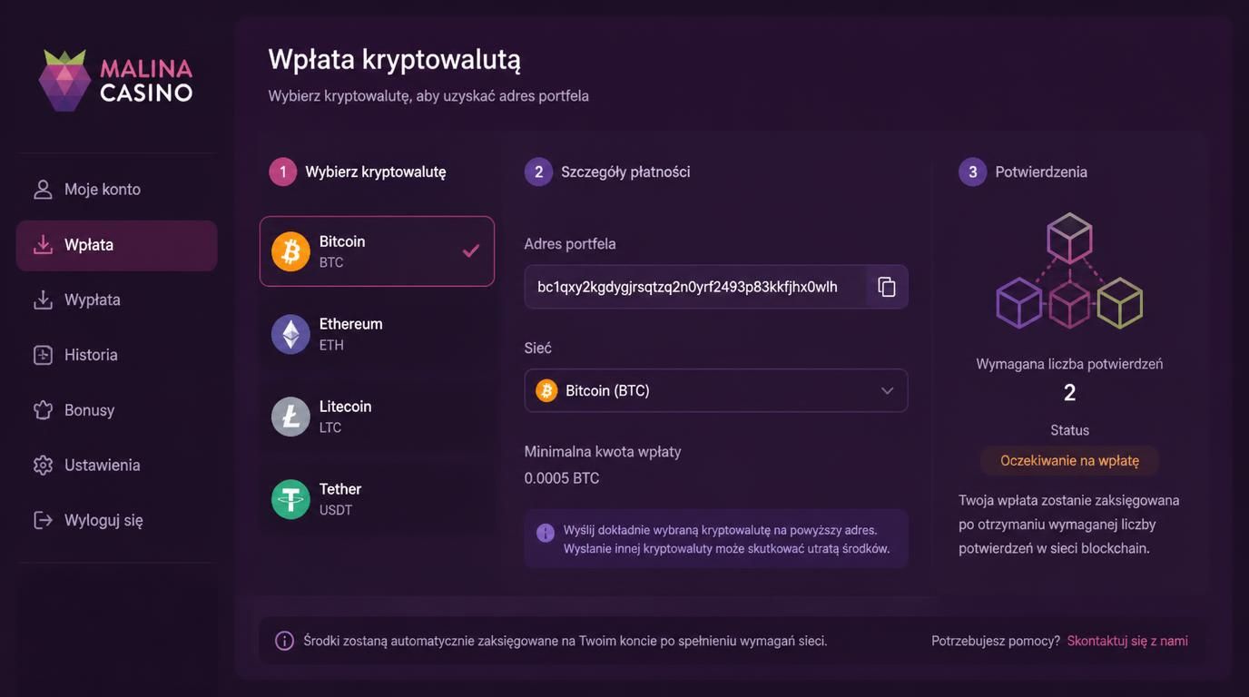 Opcje wpłat kryptowalutowych